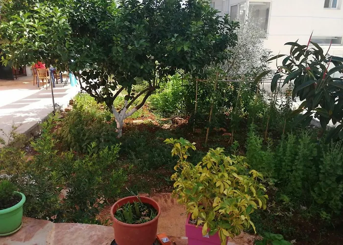 公寓 Helen's House 卡萨米尔